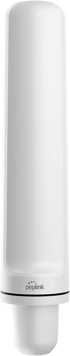 Peplink Maritime 10