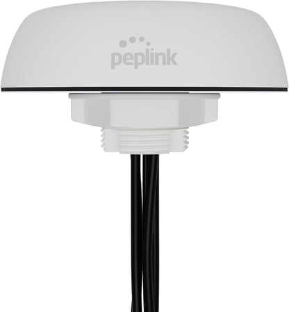 Peplink Mobility 22G