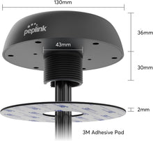 Peplink Mobility 22G