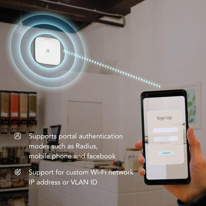 InHand Networks EAP600 Indoor WiFi6