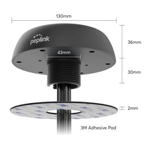 Peplink Mobility 40G