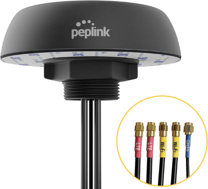 Peplink Mobility 22G