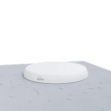 Peplink Mobility 82G